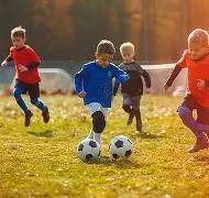 樊振东收手,写道歉信,网友热议效,九游会,九游会娱乐平台,在线博彩,九游会注册,真人娱乐,电子游戏平台,九游会优惠