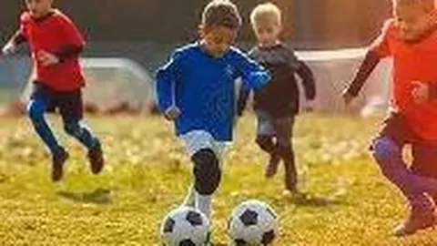 樊振东收手写道歉信，网友热议效果，《新闻晨报》报道